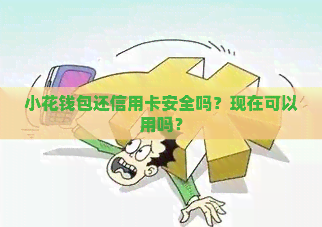 小花钱包还信用卡安全吗？现在可以用吗？