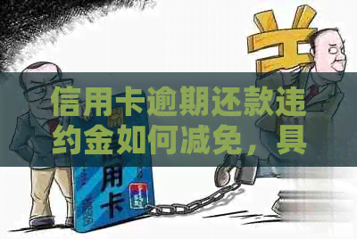 信用卡逾期还款违约金如何减免，具体数额是多少？