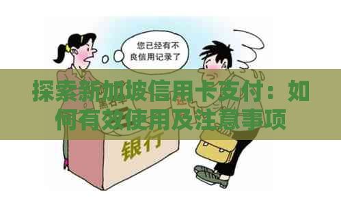 探索新加坡信用卡支付：如何有效使用及注意事项