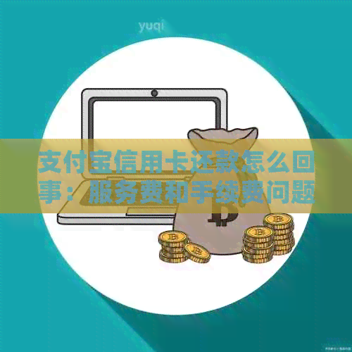 支付宝信用卡还款怎么回事：服务费和手续费问题解析