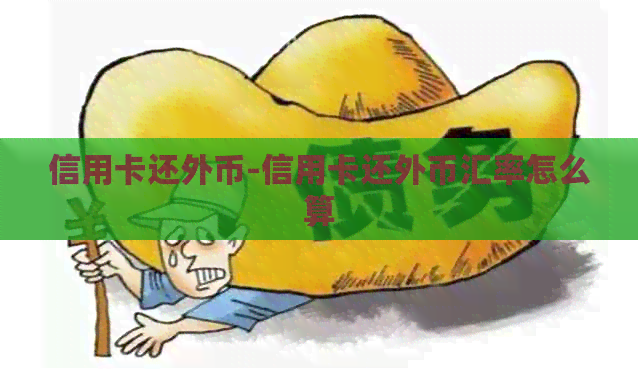 信用卡还外币-信用卡还外币汇率怎么算