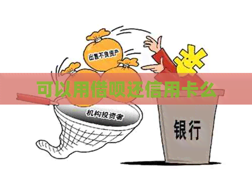可以用网贷还信用卡么
