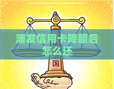 浦发信用卡降额后怎么还