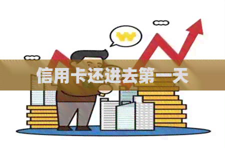 信用卡还进去之一天