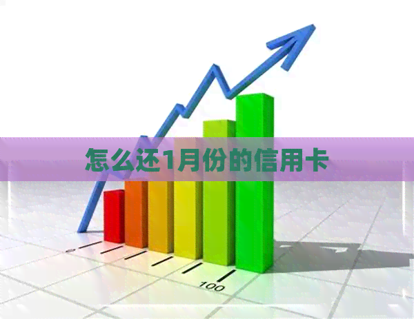 怎么还1月份的信用卡