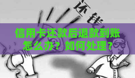 信用卡还款后退款到账怎么办？如何处理？