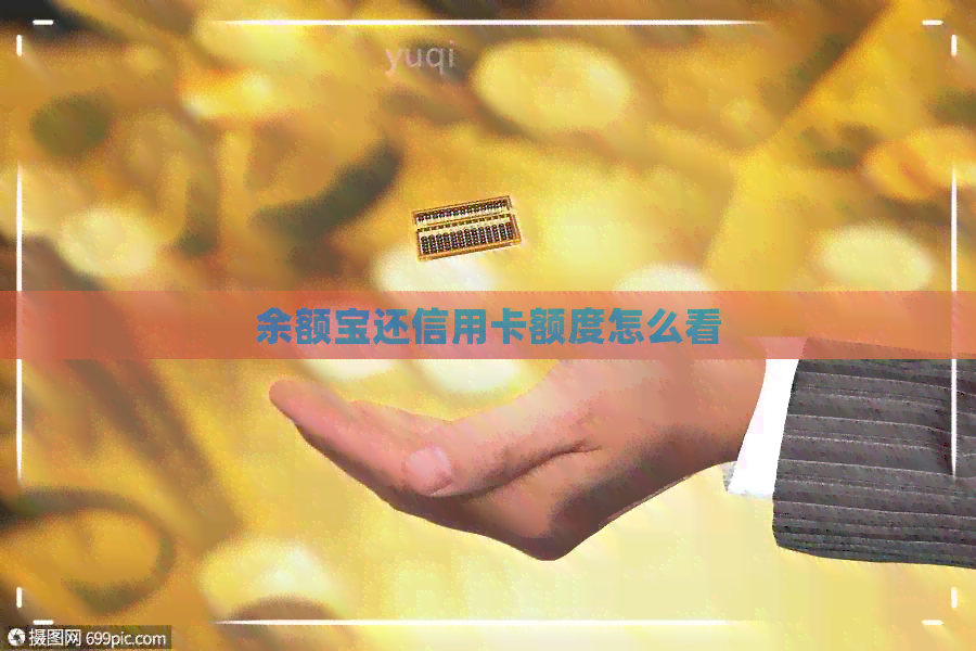 余额宝还信用卡额度怎么看