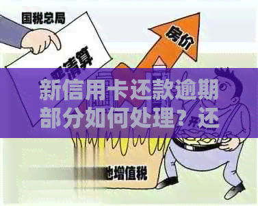 新信用卡还款逾期部分如何处理？还清还是不还都可以！