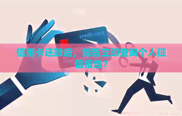 信用卡还款后，能否立即查询个人报告？