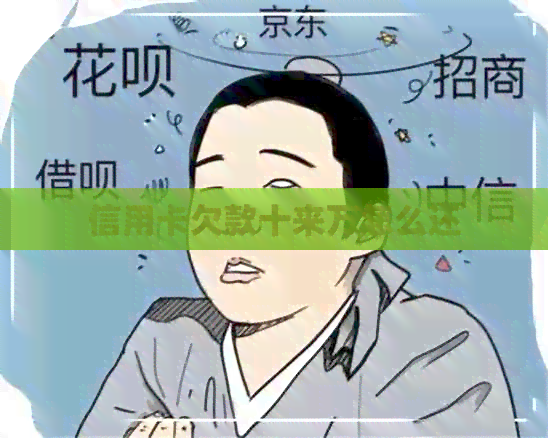 信用卡欠款十来万怎么还
