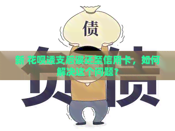 新 信用卡透支后误还至信用卡，如何解决这个问题？