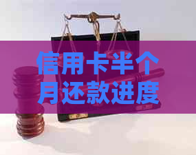 信用卡半个月还款进度查询困难：原因分析与解决方案