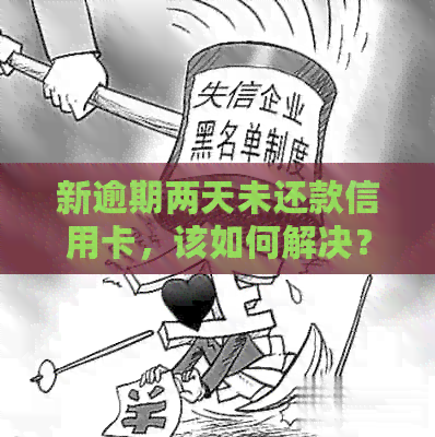 新逾期两天未还款信用卡，该如何解决？