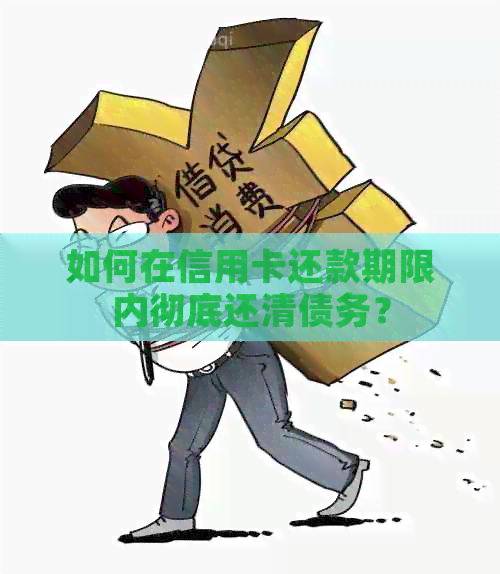 如何在信用卡还款期限内彻底还清债务？