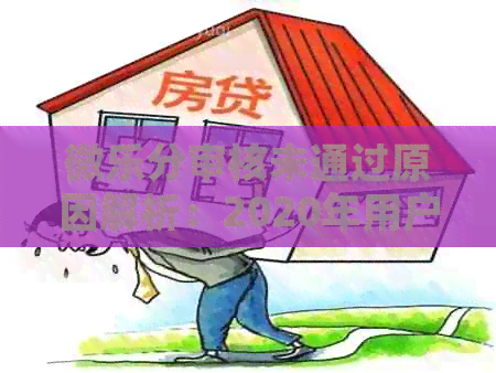 微乐分审核未通过原因解析：2020年用户常见问题一览，如何解决？