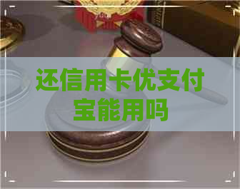 还信用卡优支付宝能用吗