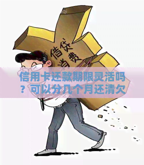 信用卡还款期限灵活吗？可以分几个月还清欠款吗？