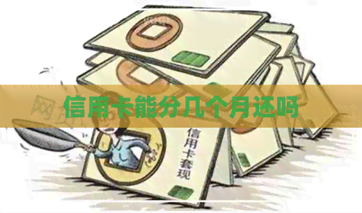 信用卡能分几个月还吗