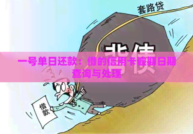 一号单日还款：借的信用卡逾期日期查询与处理