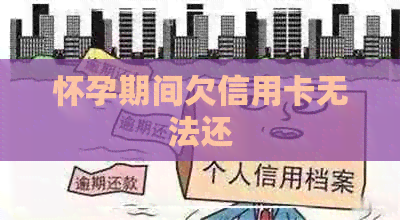 怀孕期间欠信用卡无法还