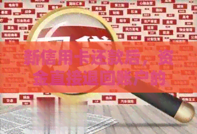 新信用卡还款后，资金直接退回账户的处理方法和注意事项