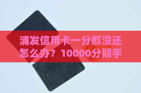 浦发信用卡一分都没还怎么办？10000分期手续费