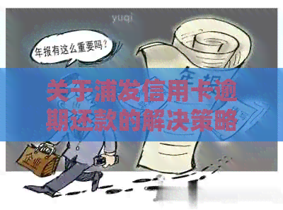 关于浦发信用卡逾期还款的解决策略与建议
