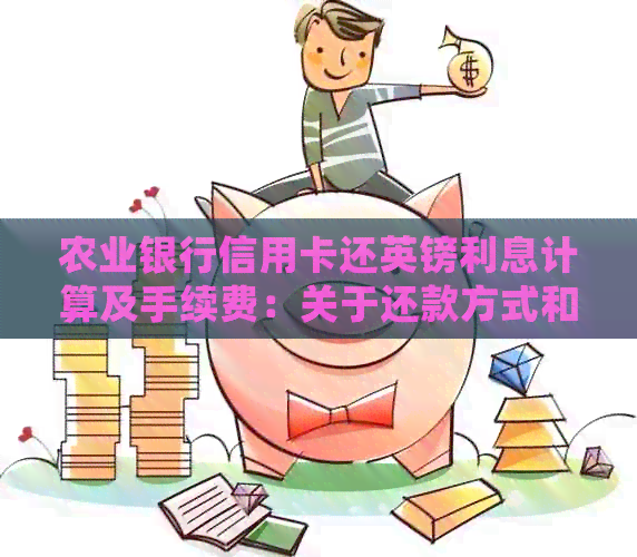 农业银行信用卡还英镑利息计算及手续费：关于还款方式和费用的详细解释
