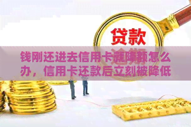 钱刚还进去信用卡就降额怎么办，信用卡还款后立刻被降低额度的原因是什么？