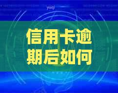 信用卡逾期后如何尽快恢复？还清后多久可以更新信用记录？