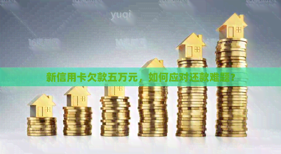 新信用卡欠款五万元，如何应对还款难题？