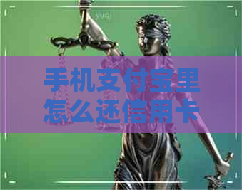 手机支付宝里怎么还信用卡 手机支付宝里怎么还信用卡