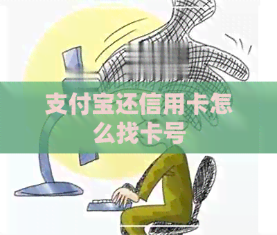支付宝还信用卡怎么找卡号