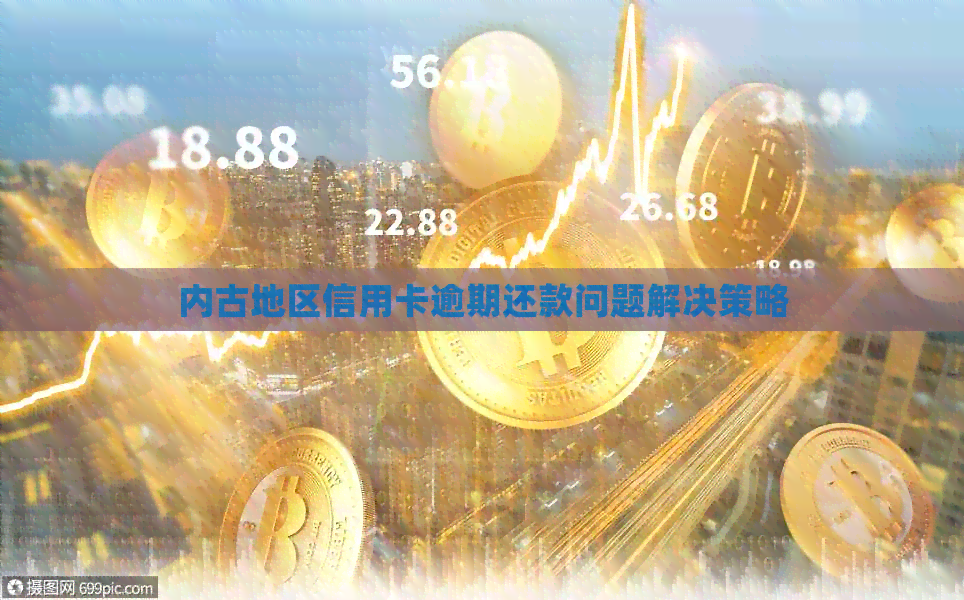 内古地区信用卡逾期还款问题解决策略