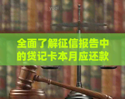全面了解报告中的贷记卡本月应还款与本月实还款：详细说明与比较