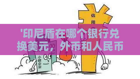 '印尼盾在哪个银行兑换美元，外币和人民币？'