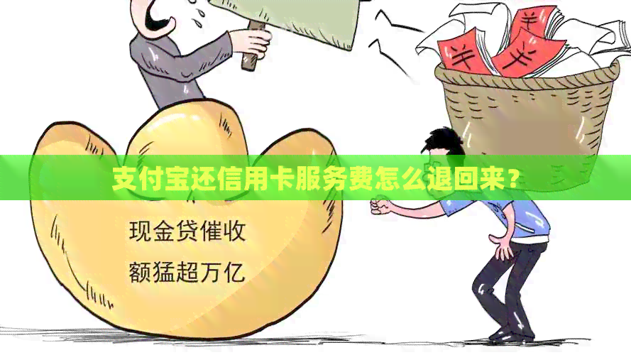 支付宝还信用卡服务费怎么退回来？