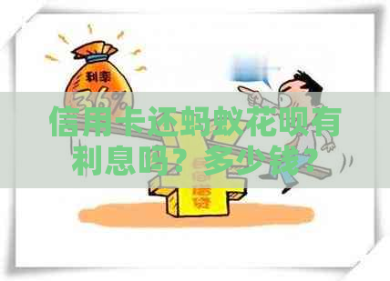 信用卡还蚂蚁信用卡有利息吗？多少钱？