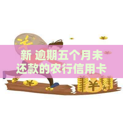 新 逾期五个月未还款的农行信用卡将面临哪些后果？