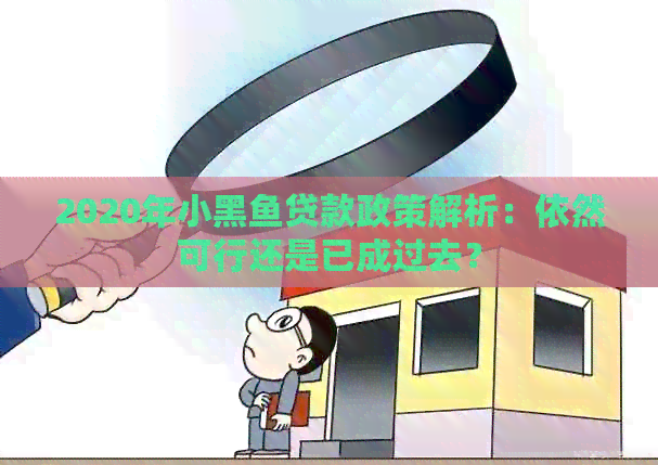 2020年小黑鱼贷款政策解析：依然可行还是已成过去？