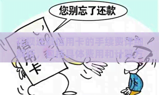 信用卡还款信用卡的手续费详细解析，包括具体费用和计算方法