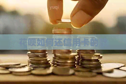 信用卡如何还信用卡的款