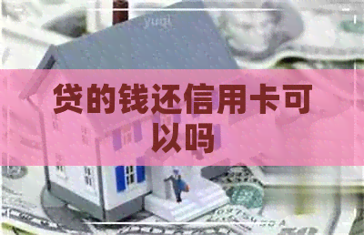 贷的钱还信用卡可以吗
