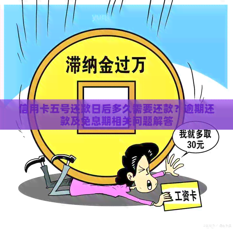 信用卡五号还款日后多久需要还款？逾期还款及免息期相关问题解答