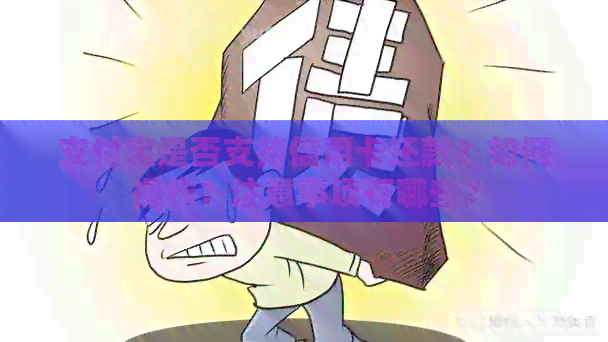 支付宝是否支持信用卡还款？如何操作？注意事项有哪些？
