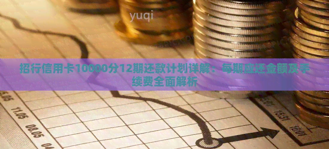 招行信用卡10000分12期还款计划详解:每期应还金额及手续费全面解析