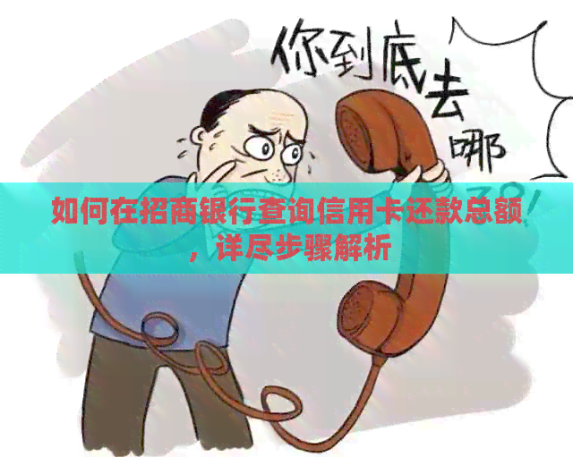 如何在招商银行查询信用卡还款总额，详尽步骤解析