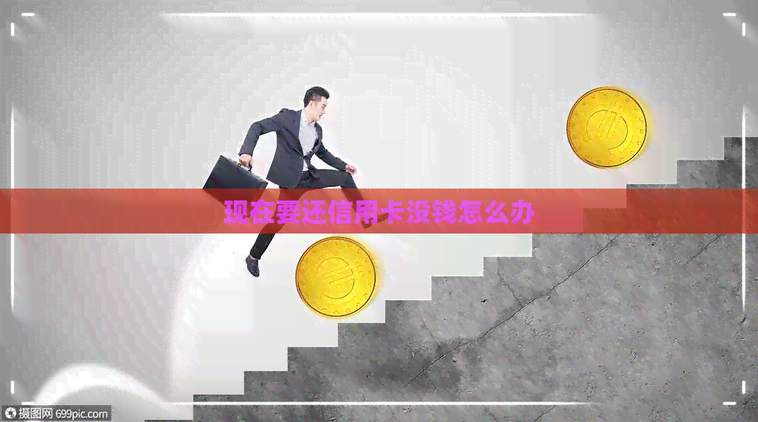 现在要还信用卡没钱怎么办