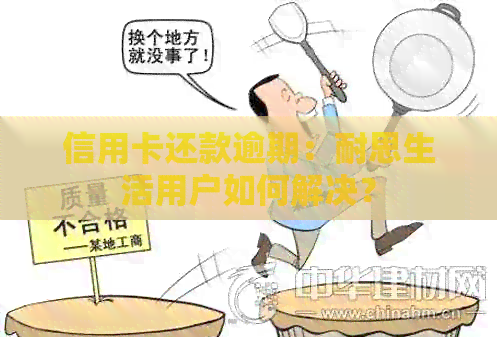 信用卡还款逾期：耐思生活用户如何解决？