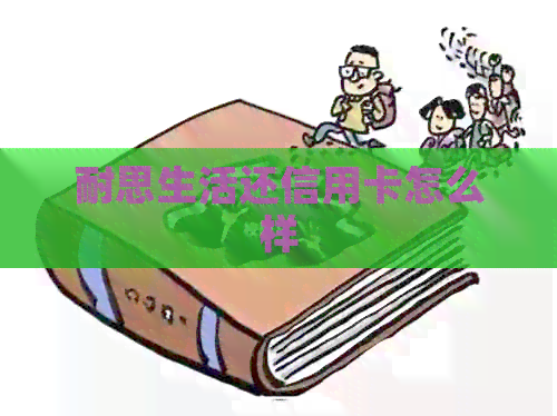 耐思生活还信用卡怎么样